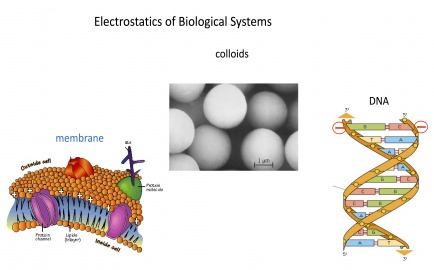 image can not be displayed