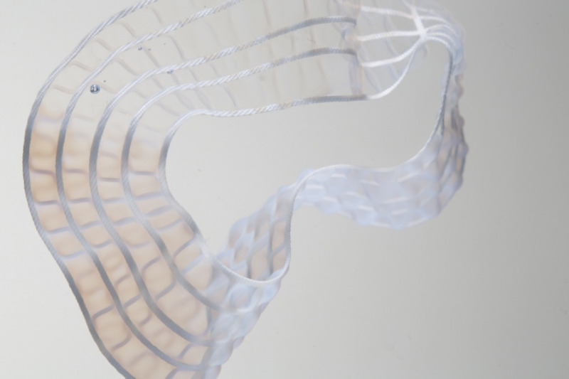 image can not be displayed