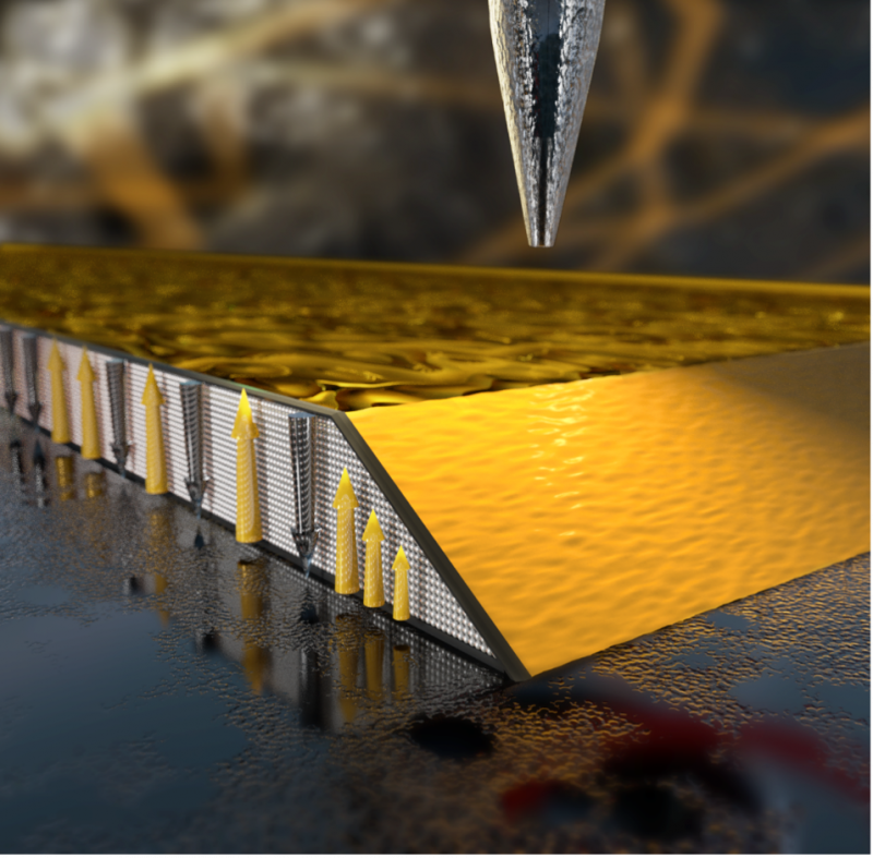 image can not be displayed