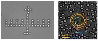 image can not be displayed