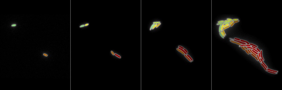 Image can not be displayed