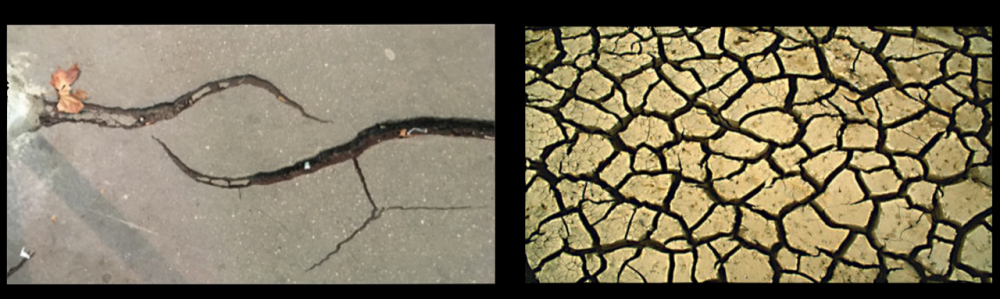 Image can not be displayed