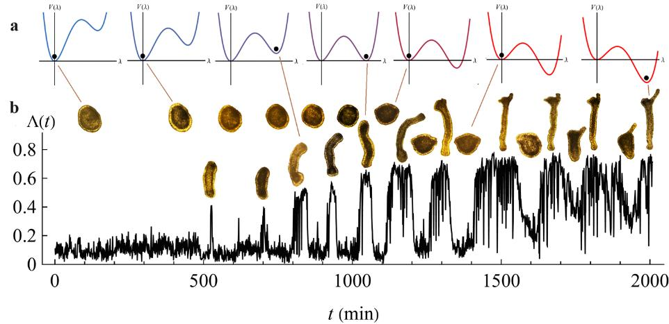 image can not be displayed