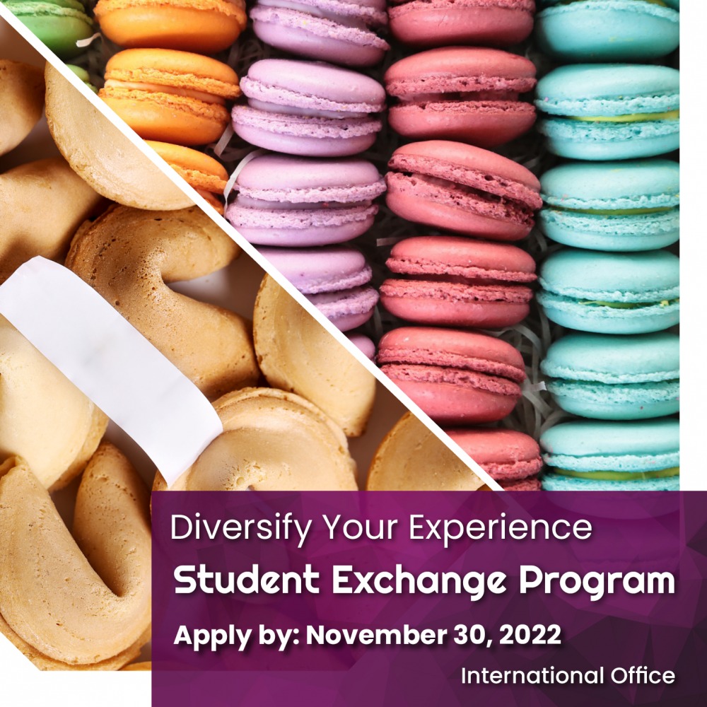 image can not be displayed